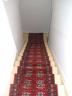 carpetbasementsteps.jpg